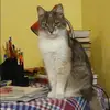 Отзыв от Кристина Колесова